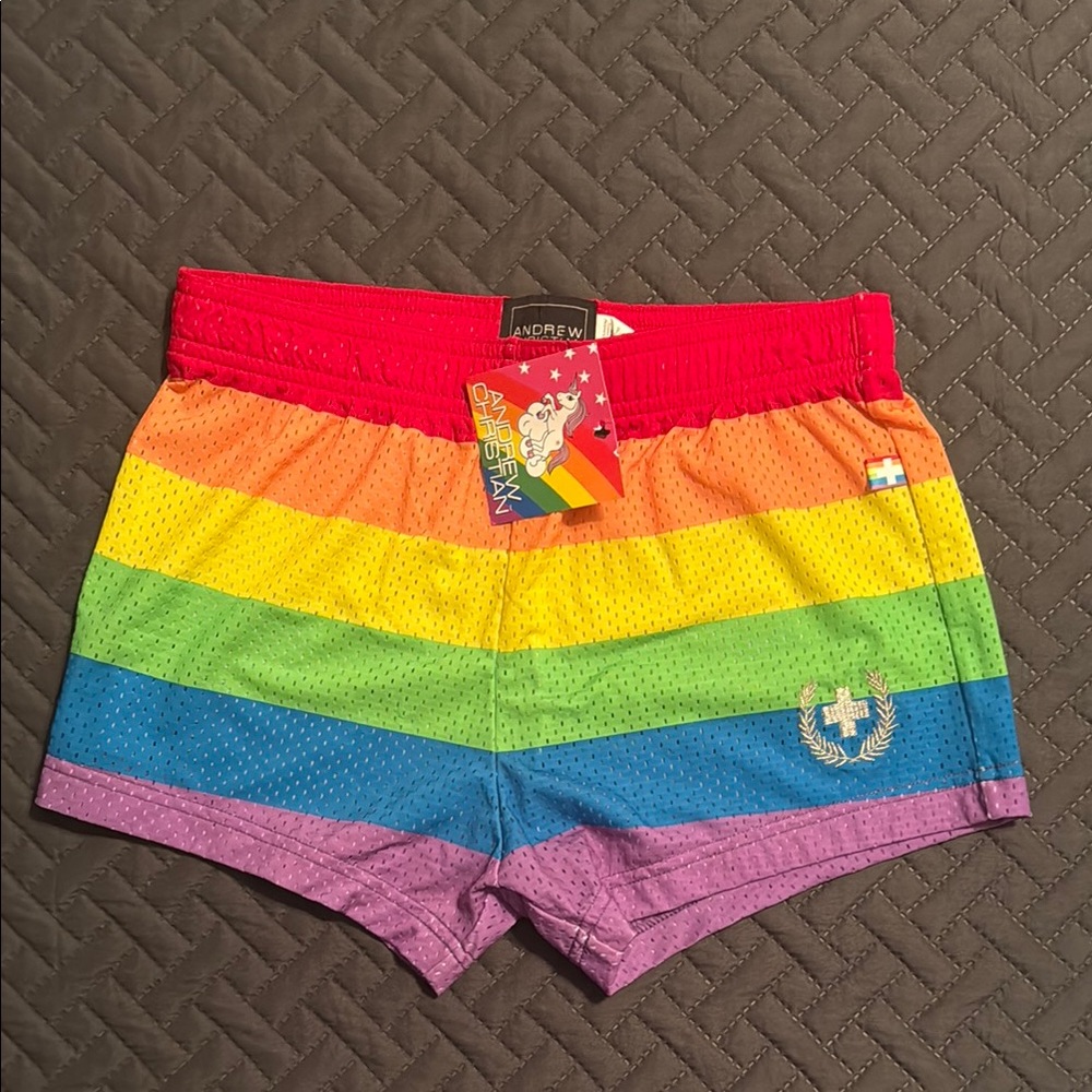 Andrew Christian Rainbow Pride Mesh Shorts size Small
